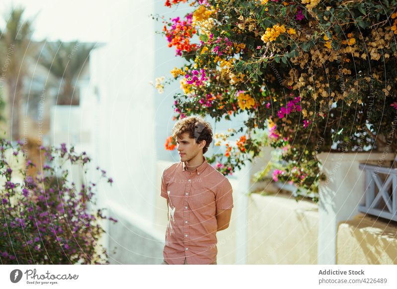 Young man standing near white houses decorated with blooming flowers dreamy village blossom summer facade street countryside oia village santorini greece potted