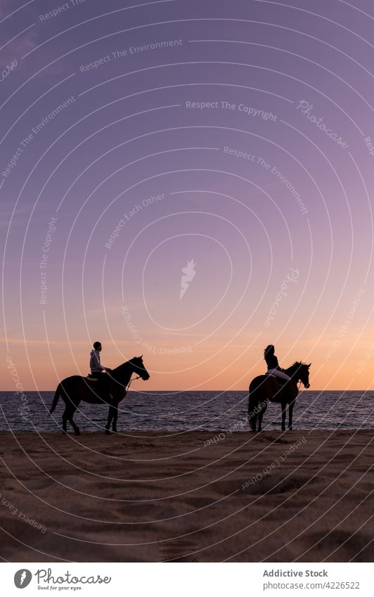 Unrecognizable couple on horses admiring sea from beach at sunset stallion shore admire sky horizon nature landscape together silhouette sandy coast endless