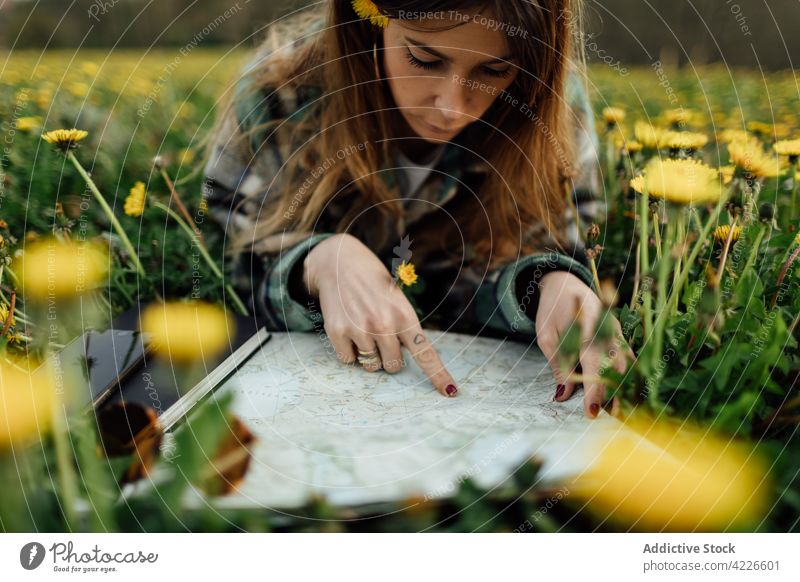 Tourist with map resting in field with blooming dandelions traveler focus vacation flower countryside woman blossom nature mountain trip tourist journey paper