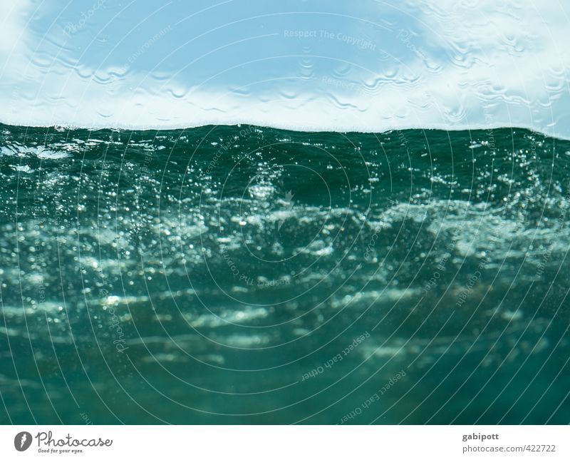 go underground Elements Water Drops of water Waves Baltic Sea Ocean Dive Fluid Happiness Fresh Cold Wet Blue Underwater photo Refreshment Colour photo