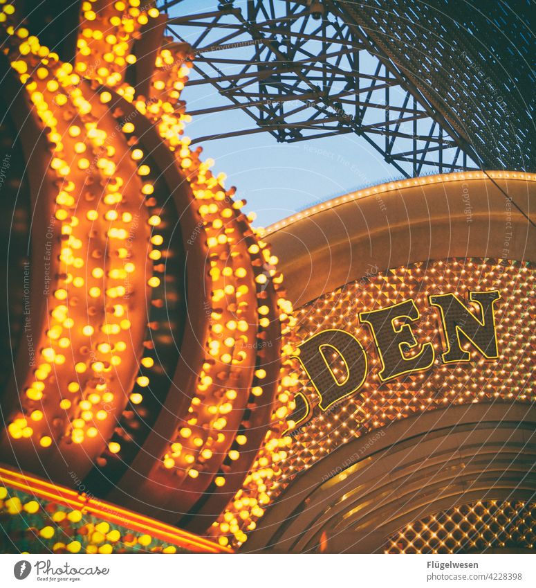 DEN or DEM? Las Vegas Bright Colours Neon sign Illuminate LED Luminosity Beacon Fluorescent Lights Lampshade lamps Lighting store Electric bulb Americas Casino