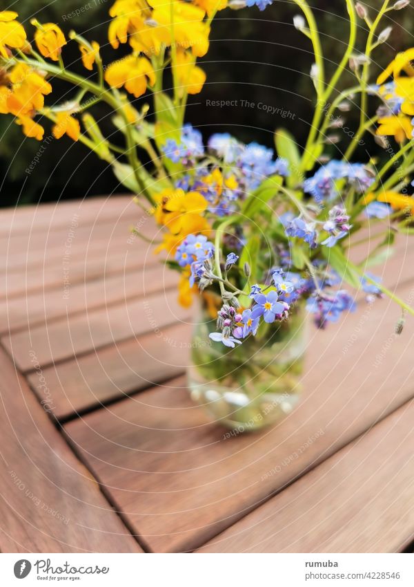 Blue and yellow spring flowers in vase garden flower Garden Flower wild flower Spring Spring fever Abstract Nature Esthetic Exterior shot Vase Bouquet Yellow