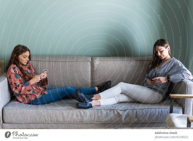 Young women resting on sofa and browsing smartphones using together calm comfort friend gadget living room chill cozy young modern mobile girlfriend surfing