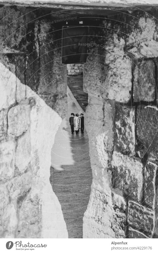 Conspiracy meeting in Jerusalem West Jerusalem palaestine Exterior shot Colour photo East Jerusalem Religion and faith Landmark Temple Mount Dome of the rock