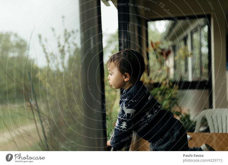 Child looking through window 1 - 3 years Caucasian Boy (child) Looking Window side view rainy Spring bored Interior shot Lifestyle Day childhood Toddler