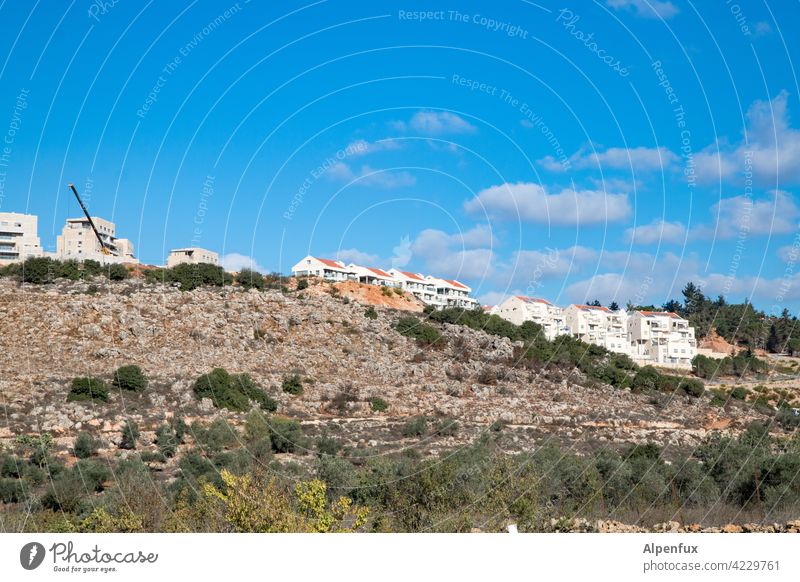 Illegal Israeli settlement in the West Bank west Bank illicit Colour photo Exterior shot House (Residential Structure) dwell Build palaestine