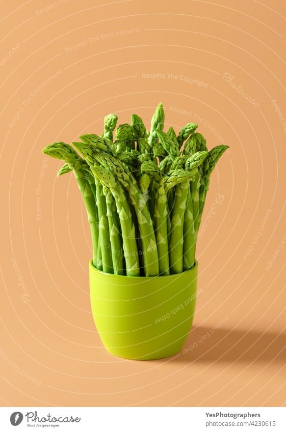 Green asparagus bundle in a ceramic pot isolated on a beige background. agriculture bio bouquet bowl bunch close-up color cooking cream cuisine cut out diet
