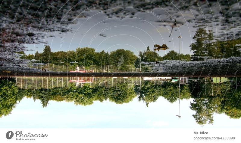 upside down I up is down Reflection Puddle Water Environment Sky Rainwater Sludgy slush Sporting grounds trees Wet Nature unplayable Playing field free of play
