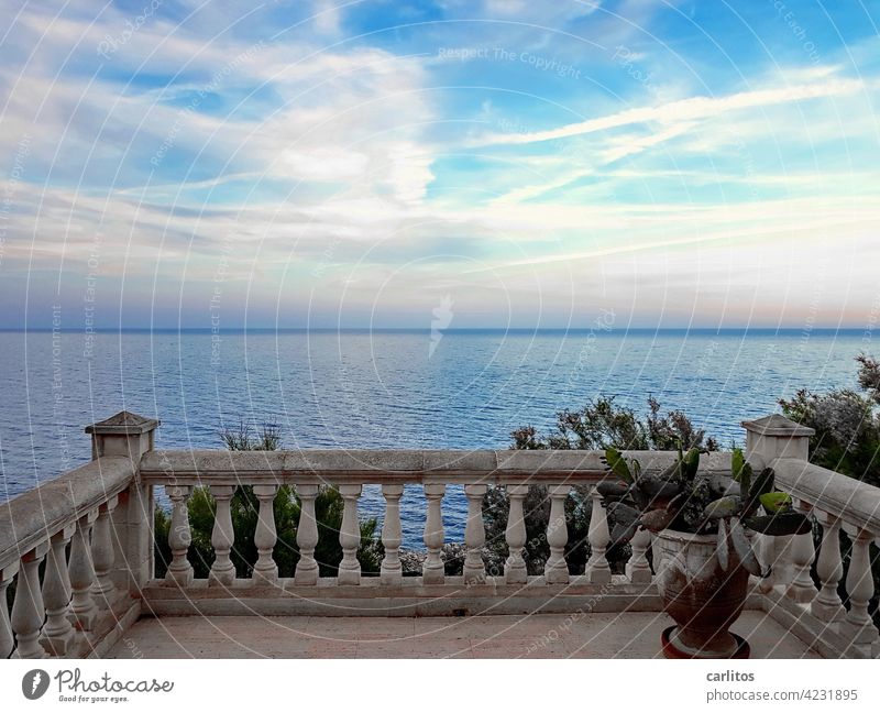 View of the Mediterranean | View of the weekend Spain Balearic Islands Majorca Terrace Vantage point Vacation & Travel Summer South Flair Ocean Fantastic relax