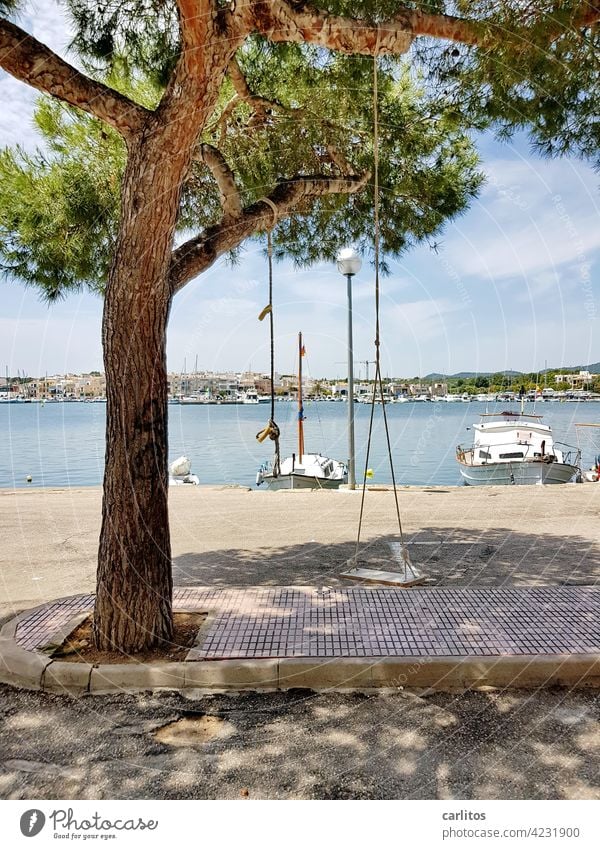 just hang out ......  | swing with sea view Tree Swing boat ship Harbour postage paid Majorca Balearic Islands Spain Vacation & Travel Ocean Summer coast