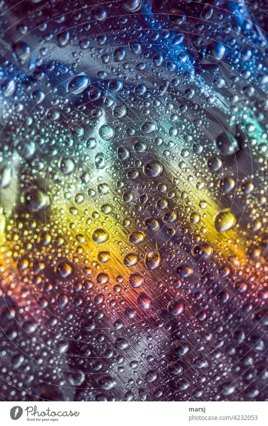 Rain also has its colourful sides Drop Drops of water Reflection Light (Natural Phenomenon) Experimental Colour photo Multicoloured Prismatic colors Trashy