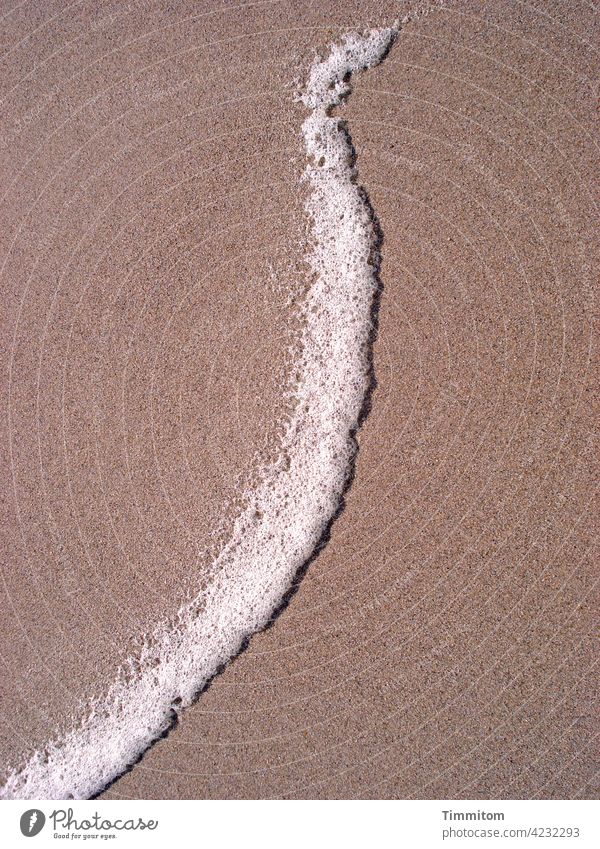 Spray in graceful form - anticipation White crest Beach Sand shape daintily Denmark North Sea Nature Deserted