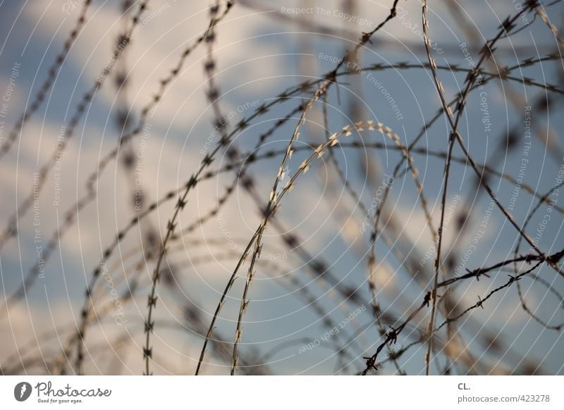 barbed wire Sky Clouds Beautiful weather Threat Thorny Fear Dangerous Protection Safety Barbed wire Fence Border Pain Wire No admittance Captured Penitentiary
