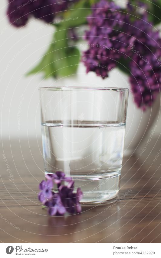 Glass with water... with lilac decoration Tumbler Mineral water glass of water Drinking Fresh Thirst Erase Water salubriously Violet Spring Vase White Green