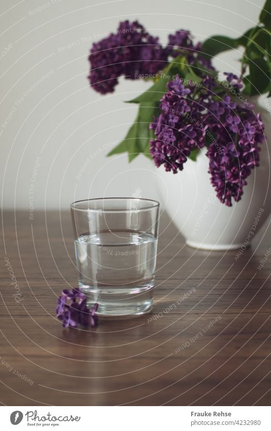 Still water... Lilac scent...  purple lilac in a white vase Tumbler Mineral water glass of water Drinking Fresh Thirst Erase Water salubriously Glass Violet