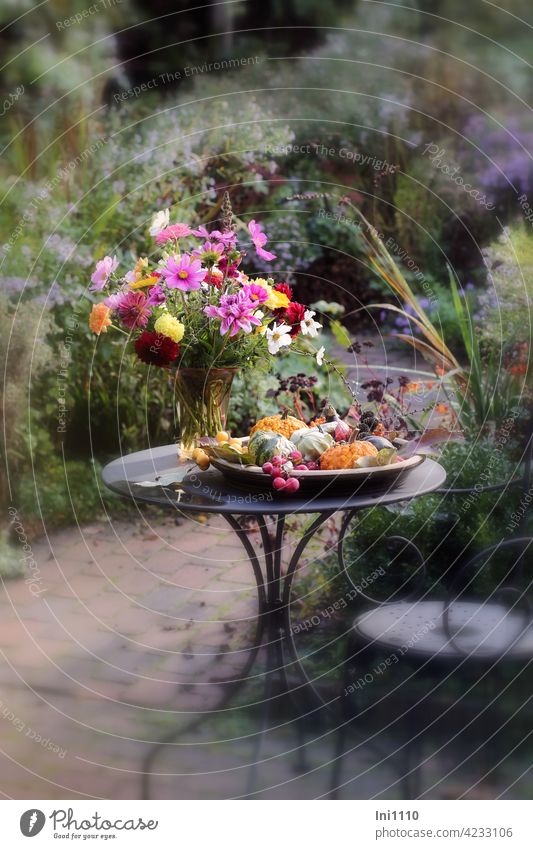 Ornamental pumpkins in a shallow bowl and a bouquet of flowers in a glass vase stand on a small metal table outside on the terrace Autumn Garden Dahlia Cosmea