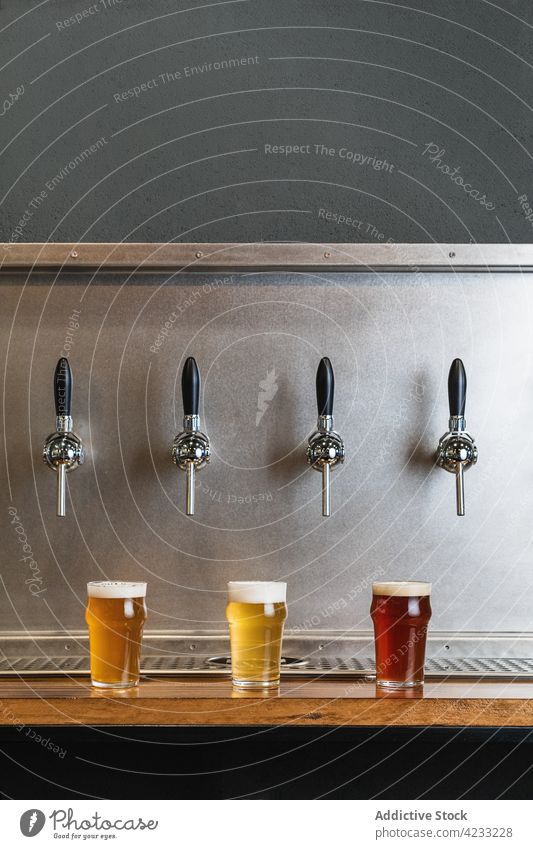 Assorted types of beer in mugs under taps in pub jug alcohol beverage drink foam table assorted natural bar brasserie wooden material glass transparent alehouse
