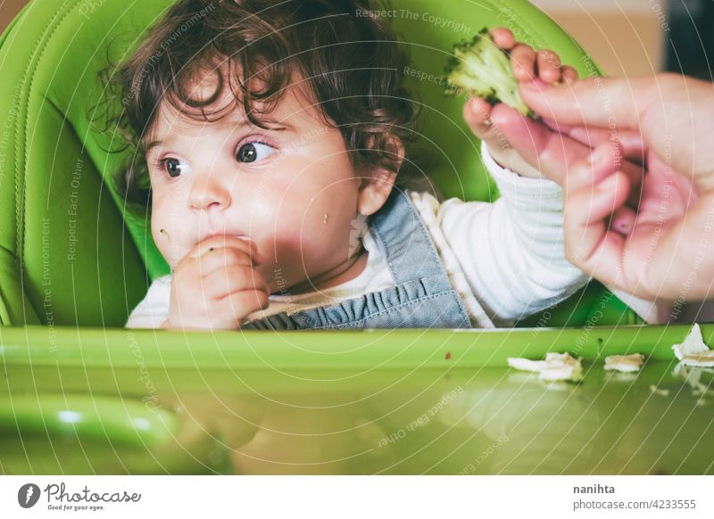Baby eating food in her green highchair blw baby lead weading vegetables brocoli vegan vegetarian health healthy diet white caucasian complementary feeding