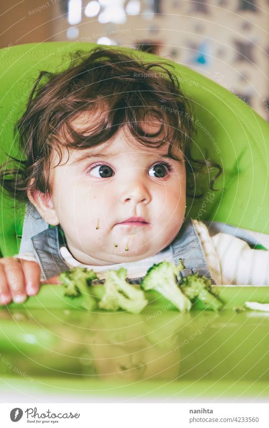 Baby eating food in her green highchair blw baby lead weading vegetables brocoli vegan vegetarian health healthy diet white caucasian complementary feeding