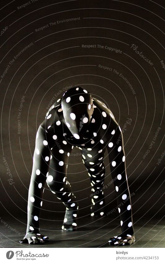 Man in a dotted full body - morphsuite - suit . Starting position of a sprinter. Fantasy figure Morph Suite Human being Action Body tension Athletic