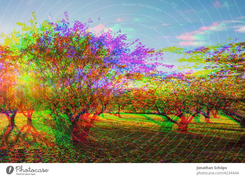 Tree Plantation Glitch Effect Nature Landscape Exterior shot Deserted Environment Colour photo Environmental protection Sustainability glitch effect Anaglyph