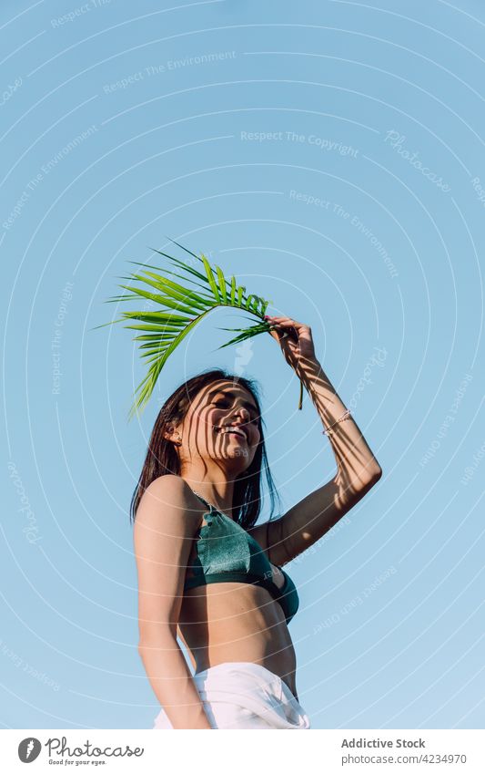 Sensual woman in bra with palm leaf under blue sky sensual body curve feminine shadow arms raised natural botany exotic tropical wavy green color flexible