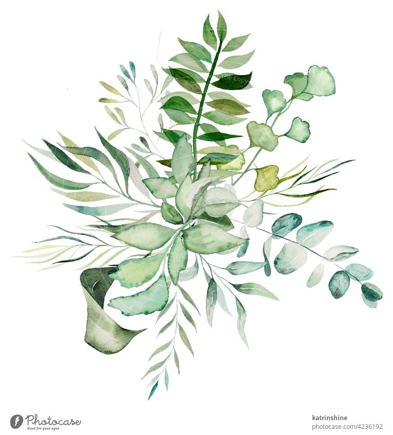 Watercolor botanical leaves bouquet illustration watercolor Botanical Drawing green paper Leaf spring Hand drawn Ornament Plant Foliage Paint Isolated Garden