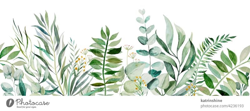 Watercolor botanical leaves seamless border illustration watercolor Botanical Drawing green paper Leaf spring Hand drawn Ornament Plant Foliage Paint Isolated