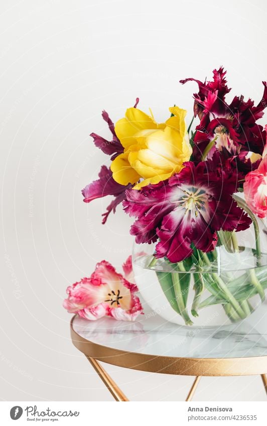 Bunch of Parrot Style Tulips tulips flower parrot tulip bunch of flowers bouquet vase bouquet of flowers flower collections spring-blooming tulipa fresh present