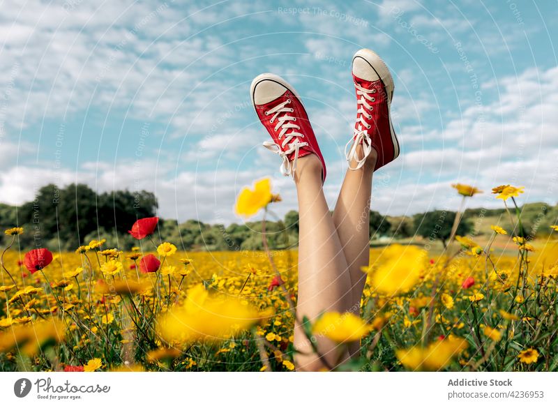 Crop woman in gumshoes with raised legs in summer field style legs raised legs crossed daisy bloom nature countryside papaver casual footwear blue sky cloudy