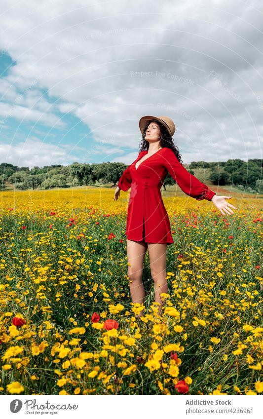 Stylish woman standing on blooming daisy field style nature flower meadow countryside eyes closed hat feminine summer harmony flora blossom sundress floral