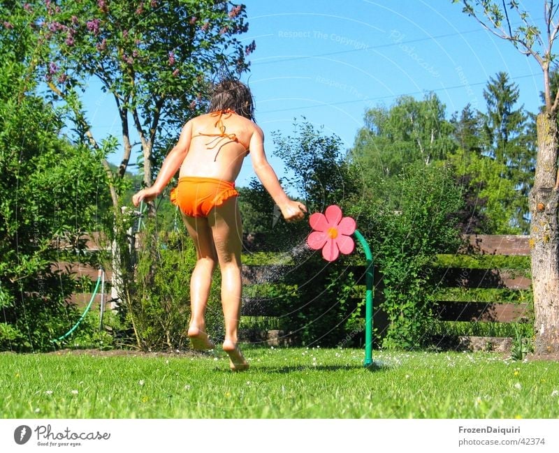 squirrel Child Playing Grass Meadow Hose Summer Bikini Human being Garden gardena Water Sun Joy