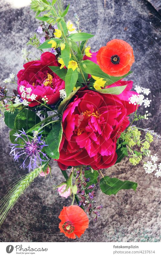 summer bouquet from above Bouquet flowers Summerflower Ostrich from on high variegated Colour colors Peony Cornflower poppies Blossom Flower Blossoming pretty