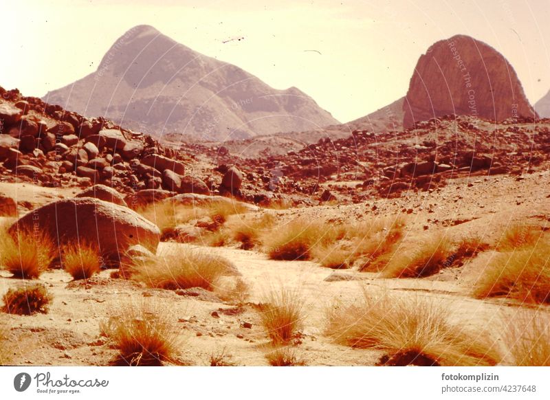 Ausgetrocknetes Flusstal in felsiger Landschaft der Sahara Wüste Flußtal ausgetrocknet Felsen Deserted Landscape Nature Sand desert landscape Vacation & Travel