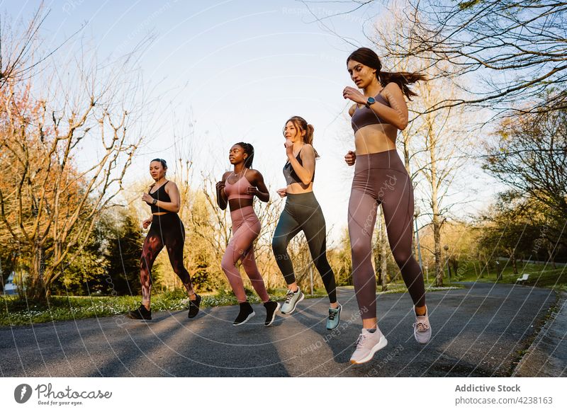 Cheerful diverse sportswomen running on footpath in urban park runner jog training cardio workout activity talk cheerful warm up exercise jogger city