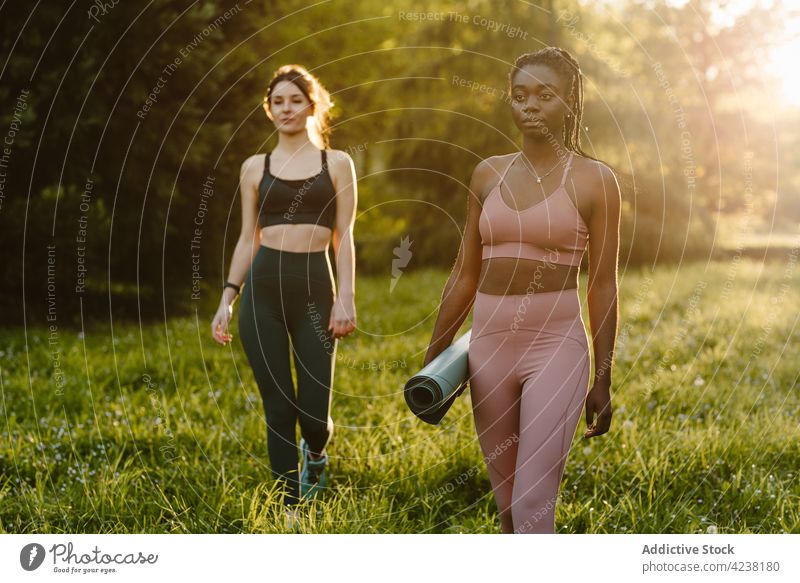 Multiethnic sportswomen in summer park at sunset training mat athlete together sportswear fit healthy female multiethnic multiracial diverse black