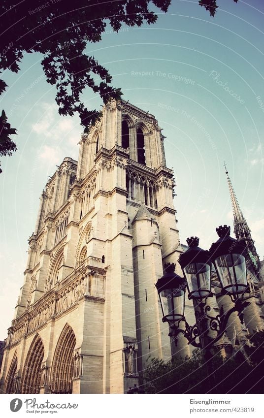 Notre Dame Paris France Europe Cathedral Street lighting Old Esthetic Exceptional Famousness Colour photo Subdued colour Exterior shot Copy Space top Day