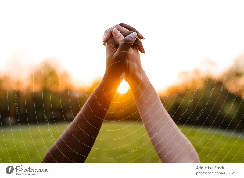 Crop diverse women holding hands against sunset sun unity concept tolerance freedom together support respect solidarity multiethnic multiracial black friend