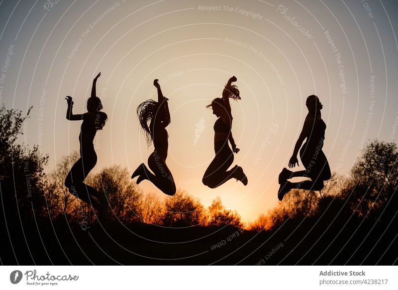 Company of unrecognizable women jumping at sunset in park silhouette group carefree freedom moment active together female evening friend sky nature sundown
