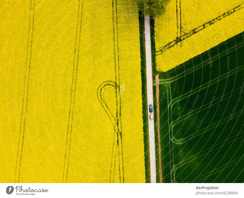 Rape field in yellow with path, trees and car with trailer aerial photograph Field Freedom Adventure Trip Tourism Vacation & Travel Joie de vivre (Vitality)