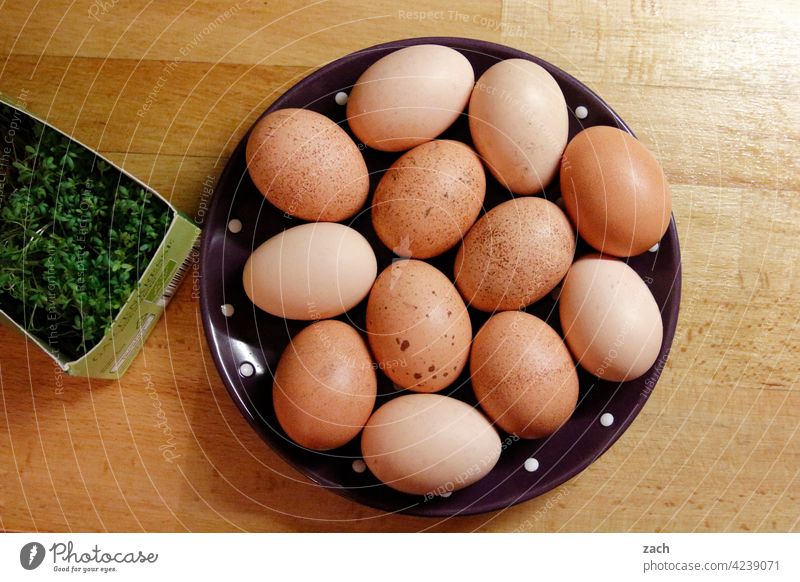 Recommendation | Breakfast egg Eating Egg Hen's egg Food Nutrition Organic produce Brown Easter egg Vegetarian diet eggs Fried egg sunny-side up Cress Plate