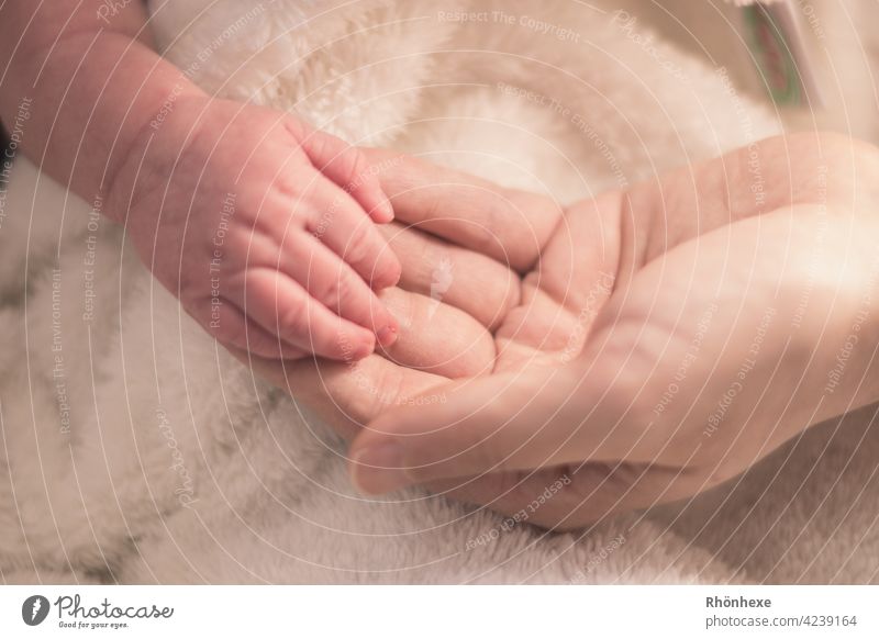 Small hand is held Baby Hand stop Fingers Cute Diminutive cute Protection Fragile Copy Space top Happy fortunate Wonder tenderness Skin Love Newborn pretty