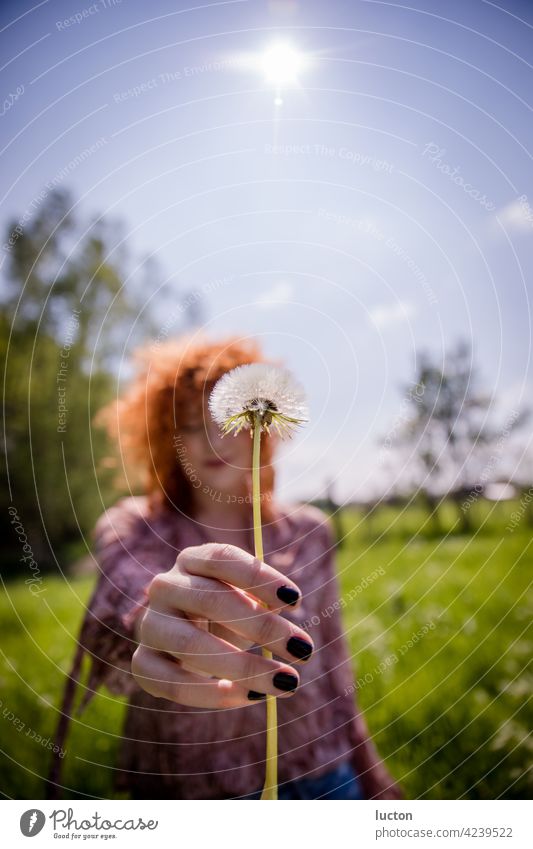 Redhead woman with dandelion in springtime Woman Red-haired Summer Nature Love of nature Dandelion Plant Macro (Extreme close-up) Spring Close-up