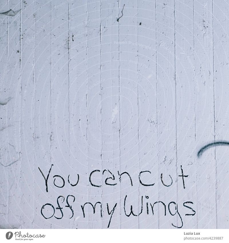 Insight, insight, or just smear... you can cut off my wings Graffiti Wall (building) White Wall (barrier) Characters Facade Deserted Letters (alphabet)