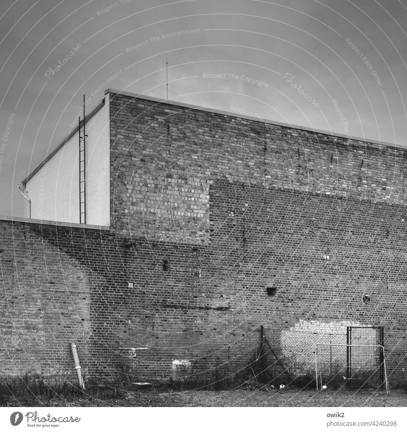 urban development Wall (barrier) Brick wall Wall (building) Deserted Exterior shot Detail Pattern Facade Structures and shapes Building Gray Brick facade