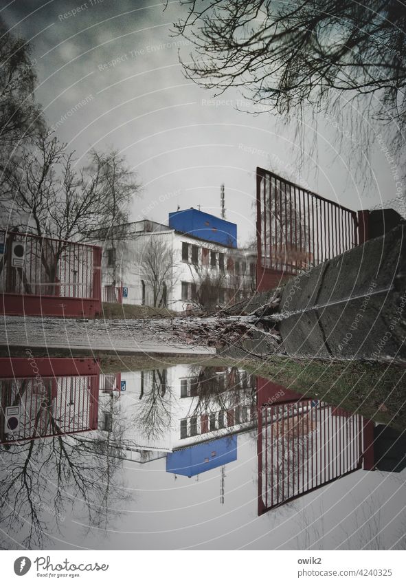 Far East Puddle Mirror image Asphalt Fence Exterior shot Reflection Building House (Residential Structure) Window Street Tree Winter Water Air Colour photo