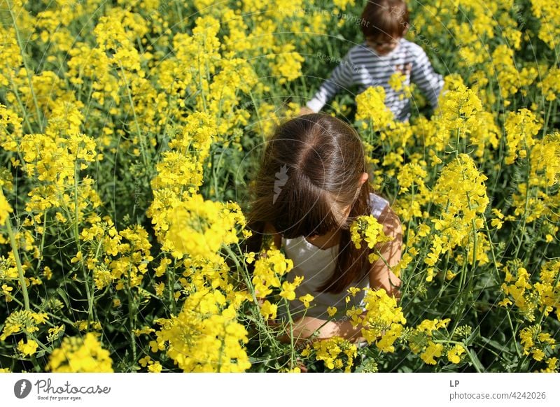 children walking in a yellow flowers field Exterior shot Blossoming Colour photo Day Neutral Background romantic spring Fresh Green Romance naturally Spring