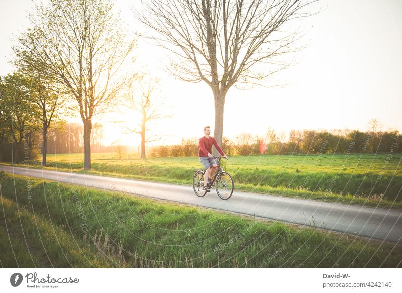 bike through green Cycling Bicycle Nature Summer Sunset sunshine To enjoy Man Landscape tranquillity Trip Movement Beautiful weather