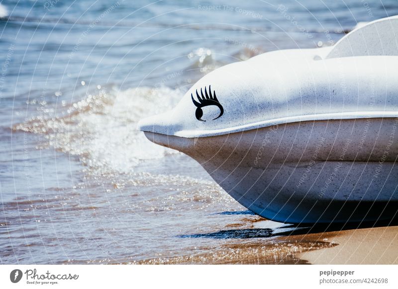 Dolphin pedal boat Fish Ocean Pedalo Deserted Animal Colour photo Sand Sandy beach vacation Vacation mood Vacation photo Swimming & Bathing Vacation & Travel
