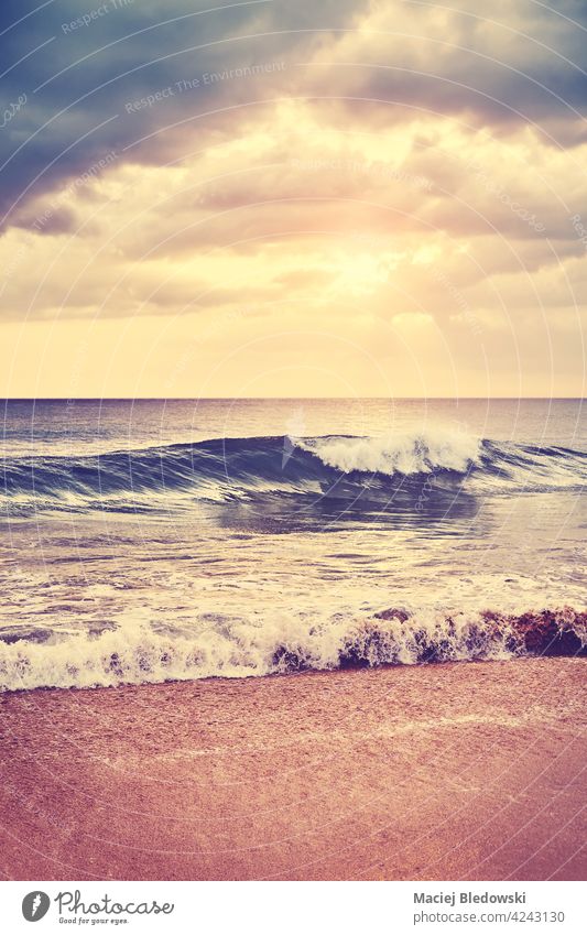 Tropical sandy beach at sunset, selective focus on the crashing wave, color toning applied. sea water ocean instagram effect filtered summer travel nature
